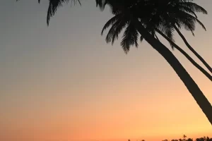 Affordable yoga Ayurveda Retreat centre