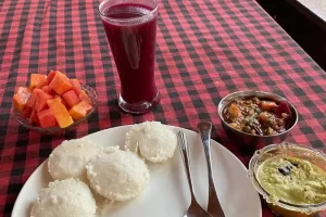 Body detox program
