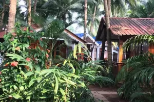 Detox retreat Goa
