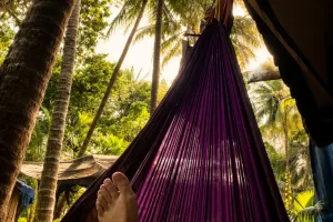 Panchakarma detox retreat