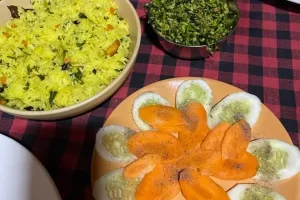 Panchakarma healing program