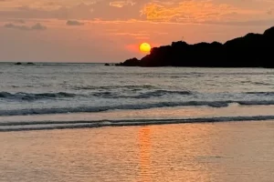 best ayurvedic clinic in South Goa